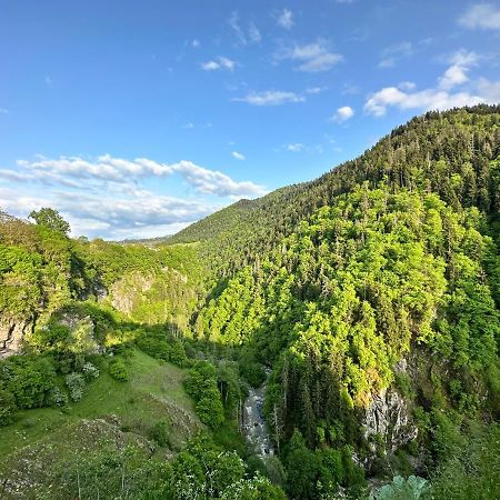 Green Mountain Borjomi Esterno foto