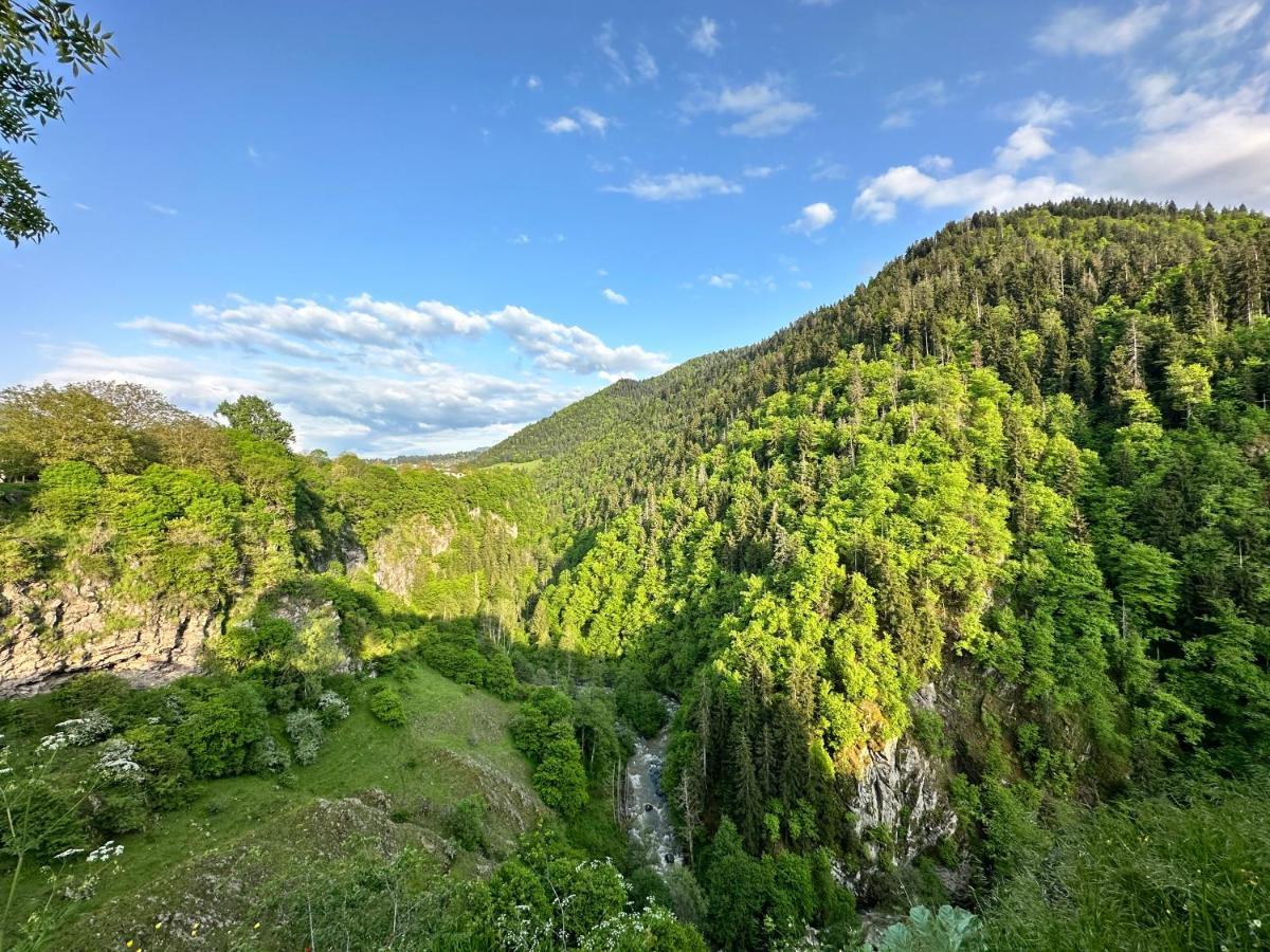 Green Mountain Borjomi Esterno foto