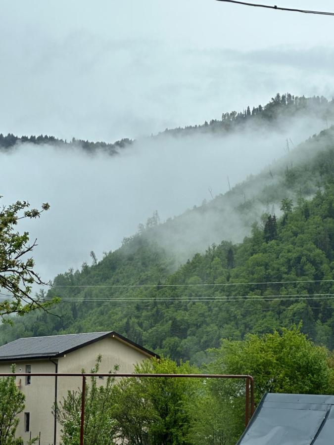 Green Mountain Borjomi Esterno foto