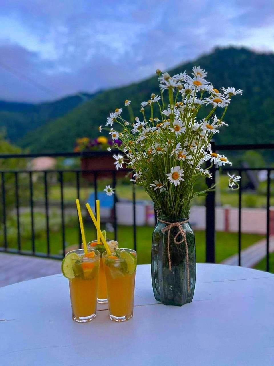 Green Mountain Borjomi Esterno foto